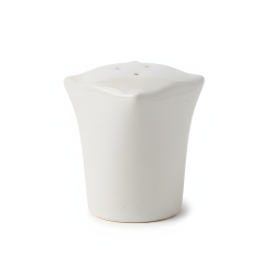 Porcelain Salt Shaker